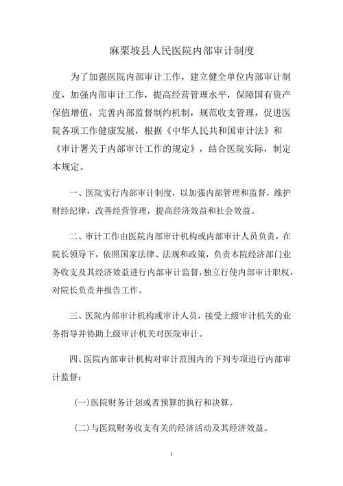 医院内部审计制度.doc