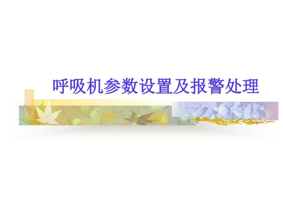 呼吸机的参数设置及报警处理.ppt_第1页