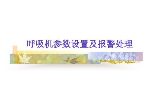 呼吸机的参数设置及报警处理.ppt