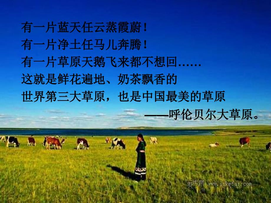 呼伦贝尔大草原PPT课件.ppt_第2页