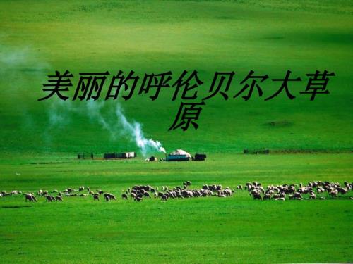 呼伦贝尔大草原PPT课件.ppt