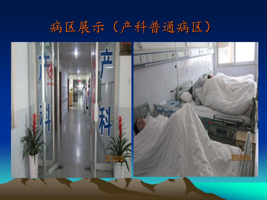 产科工作总结.ppt_第3页