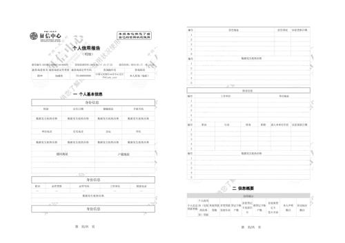 个人征信报告模板征信报告模板带水印.doc