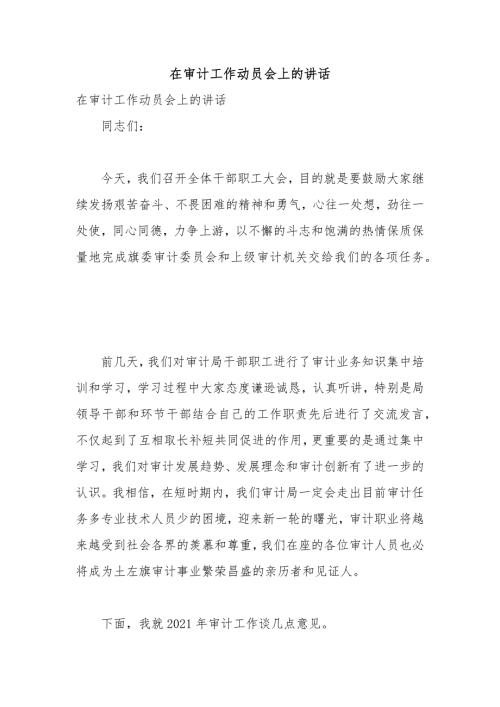 在审计工作动员会上的讲话.docx
