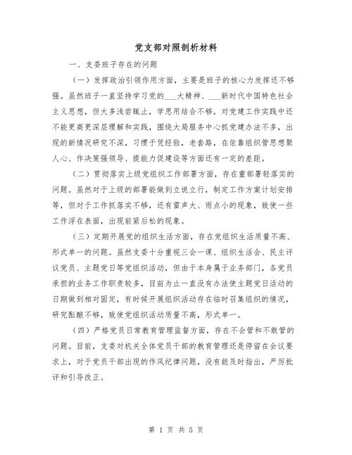 党支部对照剖析材料.doc