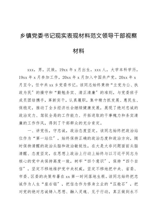 乡镇党委书记现实表现材料范文领导干部考察材料.doc
