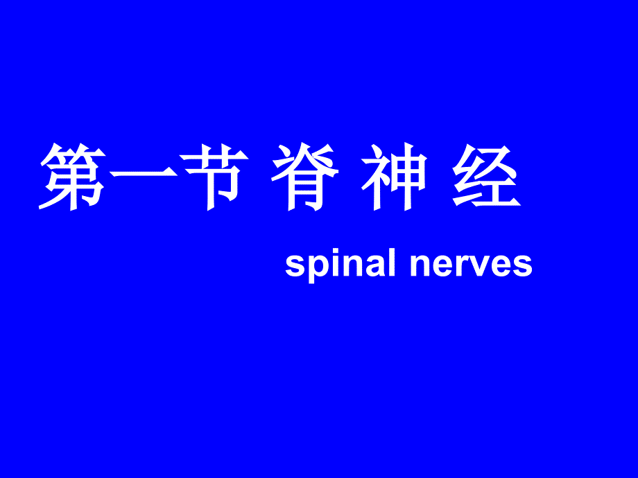 周围神经系统PPT课件.ppt_第3页