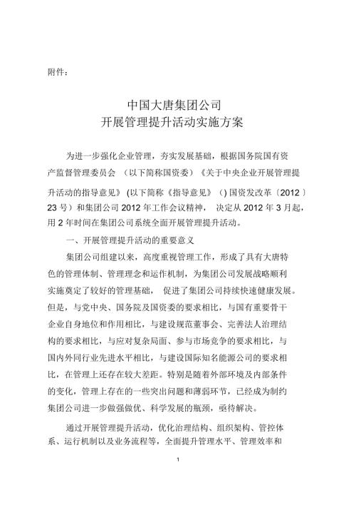 中国大唐集团公司开展管理提升活动实施方案.doc