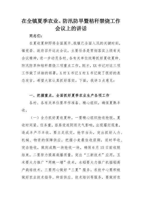 在全镇夏季农业防汛防旱暨秸秆禁烧工作会议上的讲话.docx