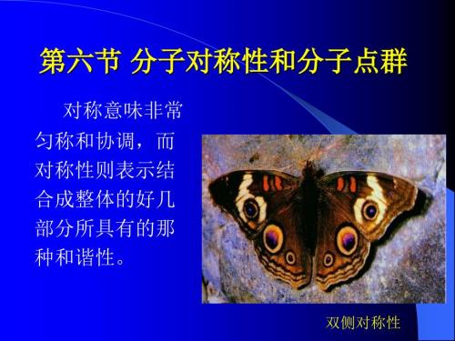 分子对称性PPT课件.ppt