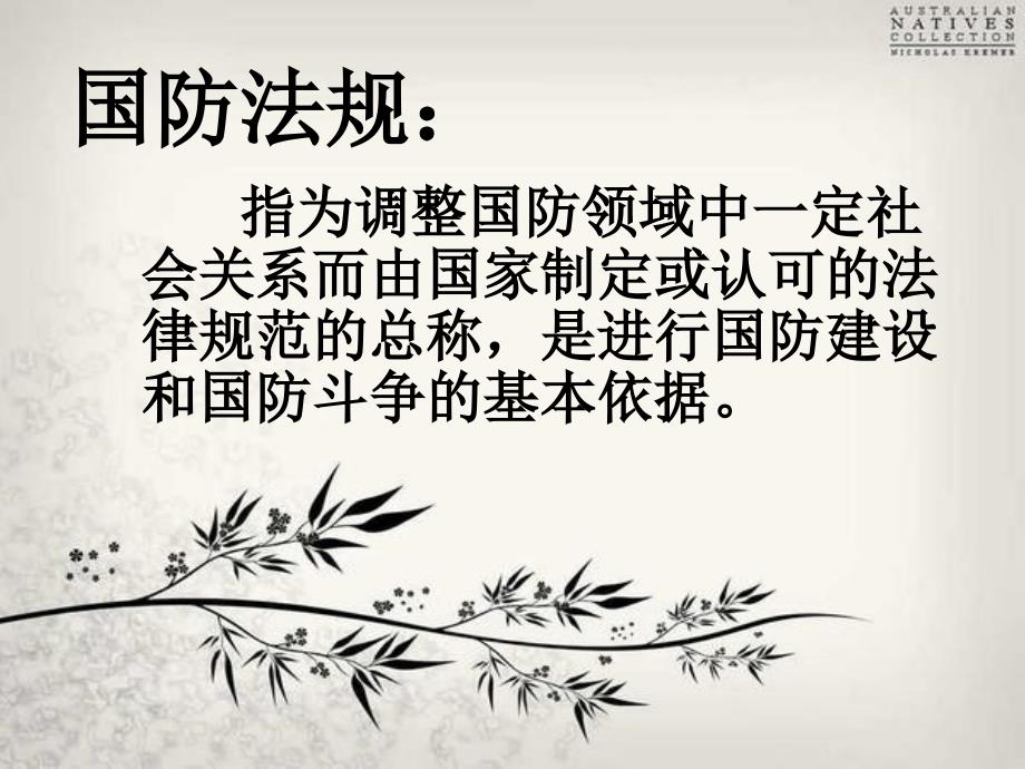 国防法规PPT课件.ppt_第3页