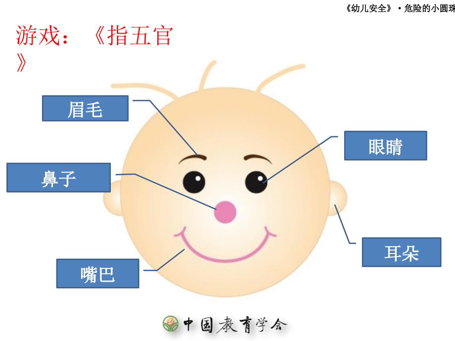 危险的小圆珠PPT课件.pptx_第2页