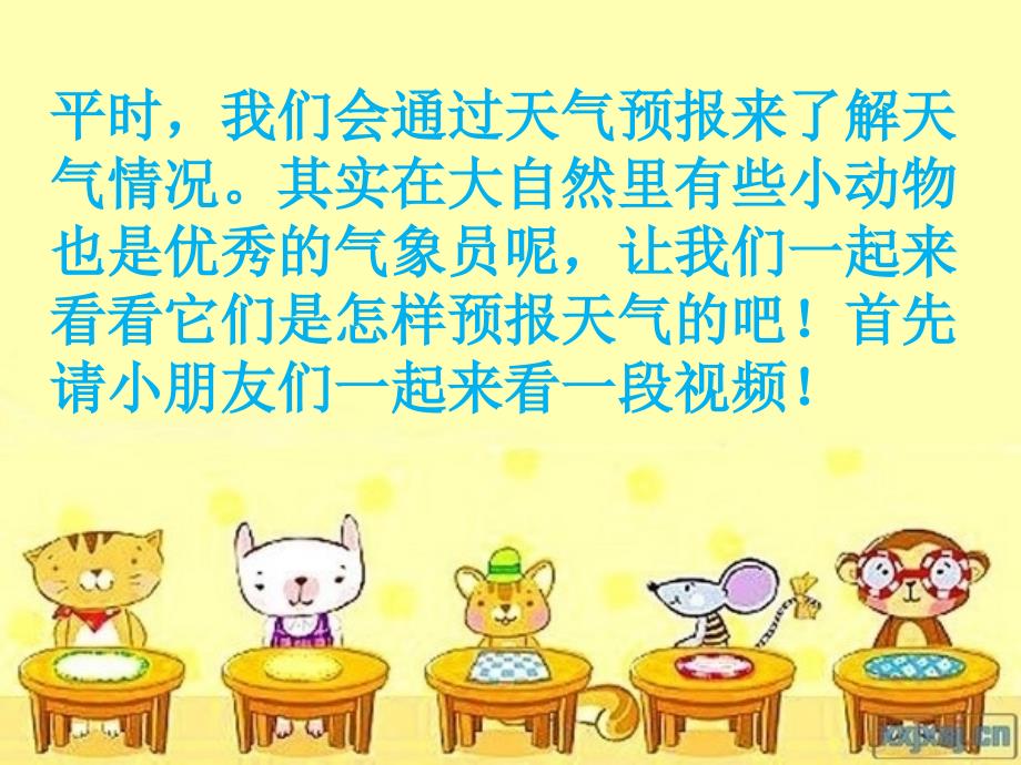 动物气象员ppt课件.ppt_第3页