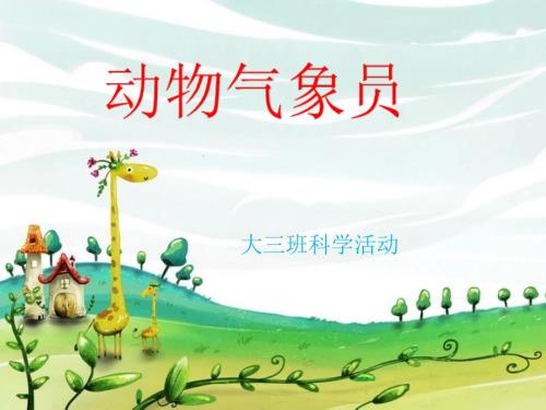 动物气象员ppt课件.ppt