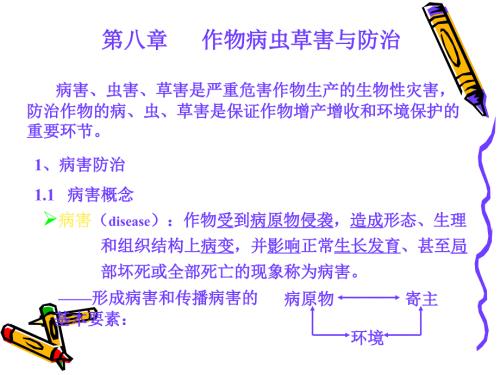 作物病虫害防治PPT课件.ppt