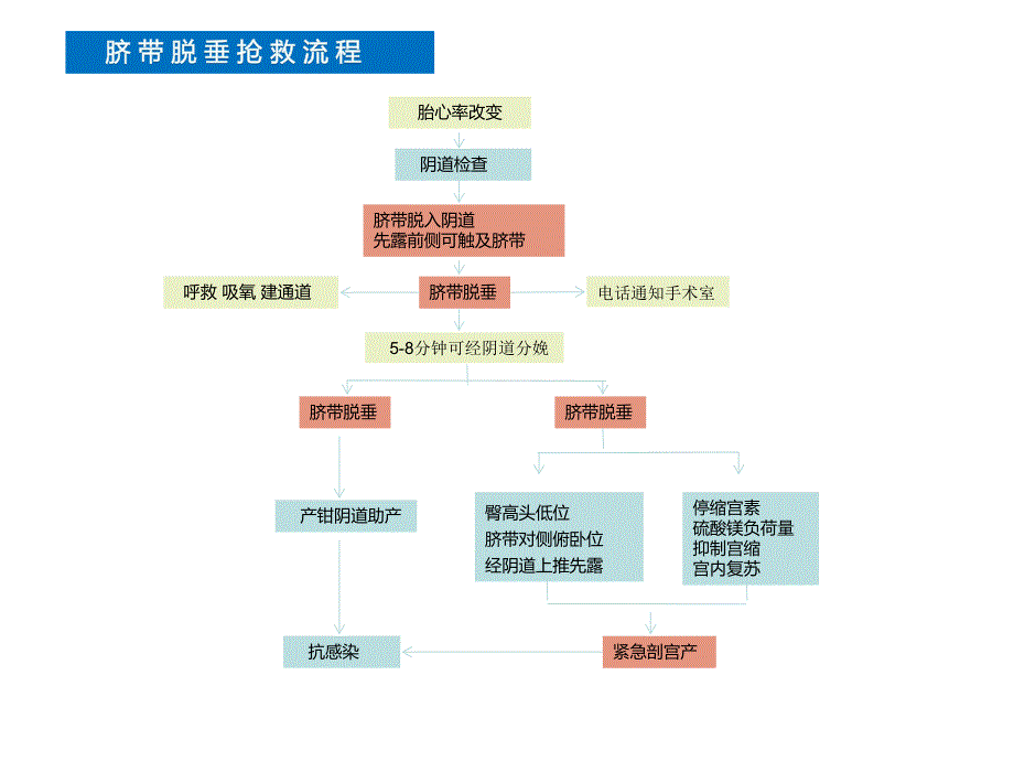 产科急危重症急救流程.ppt_第3页