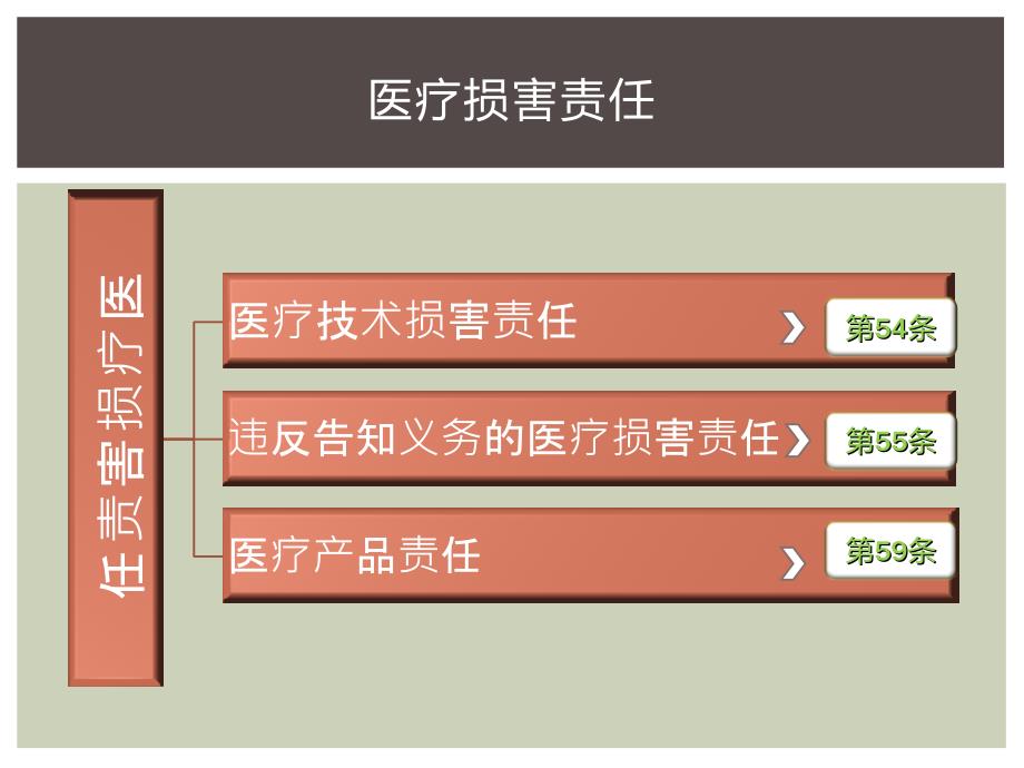 医疗损害责任PPT课件.ppt_第2页