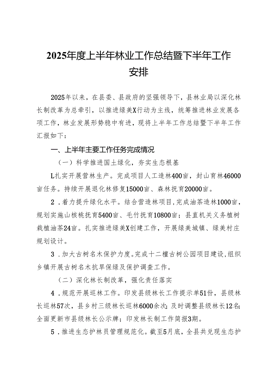 2025年度上半年林业工作总结暨下半年工作安排.docx_第1页