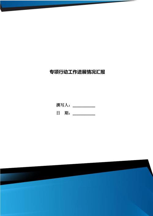 专项行动工作进展情况汇报.doc