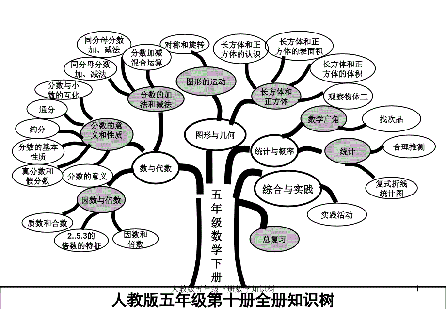 人教版五年级下册数学知识树课件.ppt_第1页