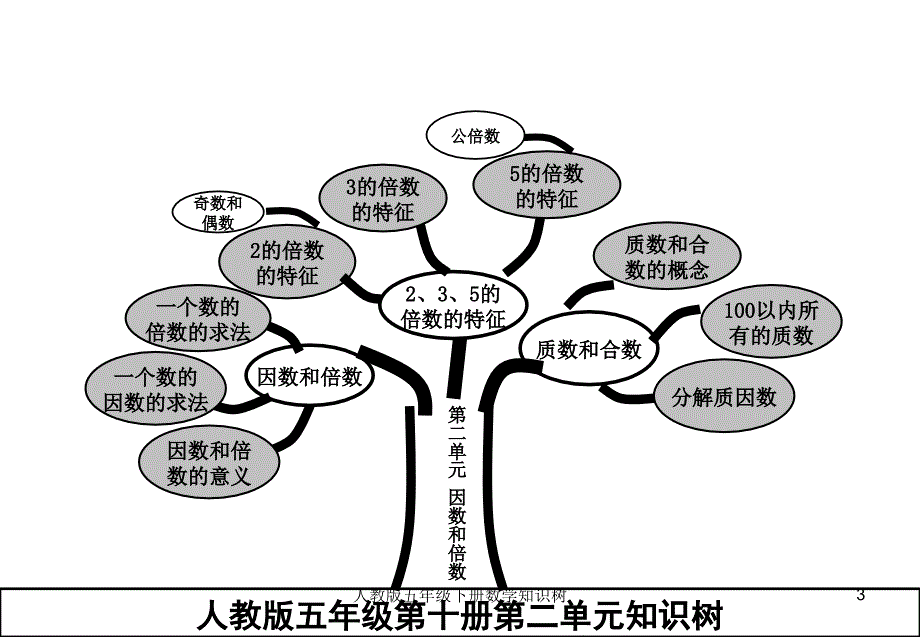 人教版五年级下册数学知识树课件.ppt_第3页