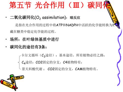 光合作用3植物生理学.ppt