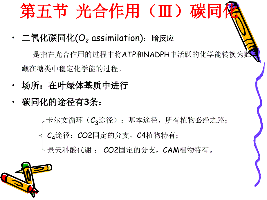 光合作用3植物生理学.ppt_第1页