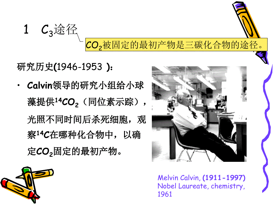 光合作用3植物生理学.ppt_第3页