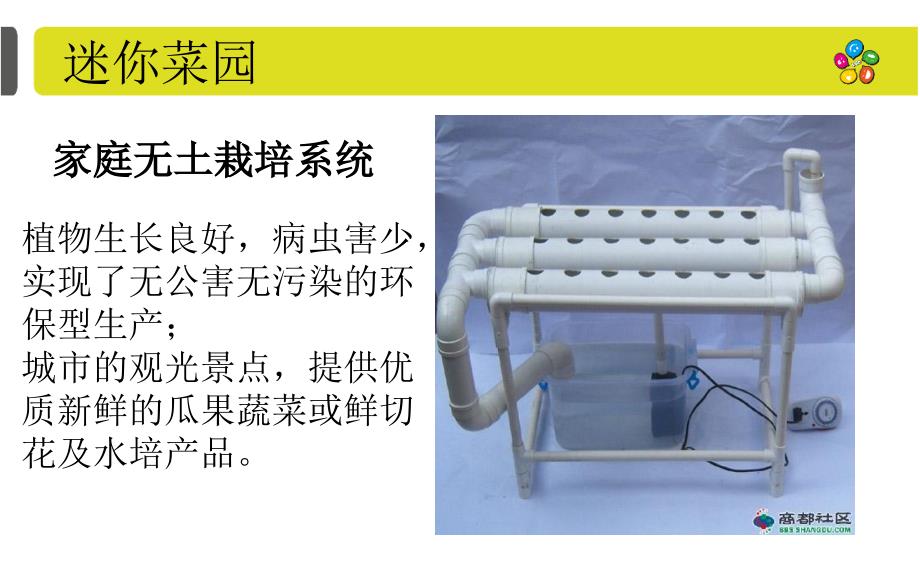 园艺迷你菜园家庭阳台简易蔬菜无土栽培.ppt_第2页