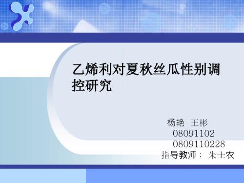 乙烯利对夏丝瓜性别调控研究.ppt