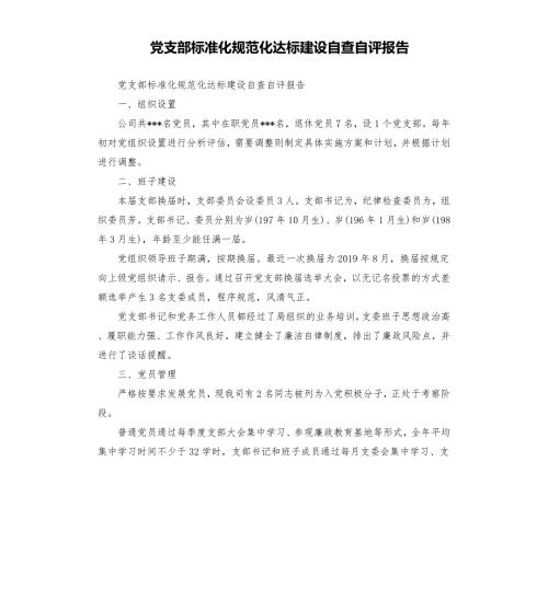 党支部标准化规范化达标建设自查自评报告.docx