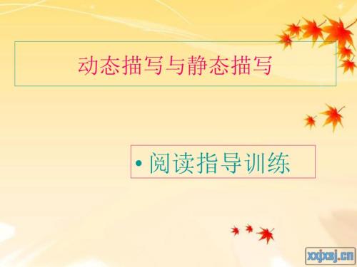 动态描写与静态描写.ppt