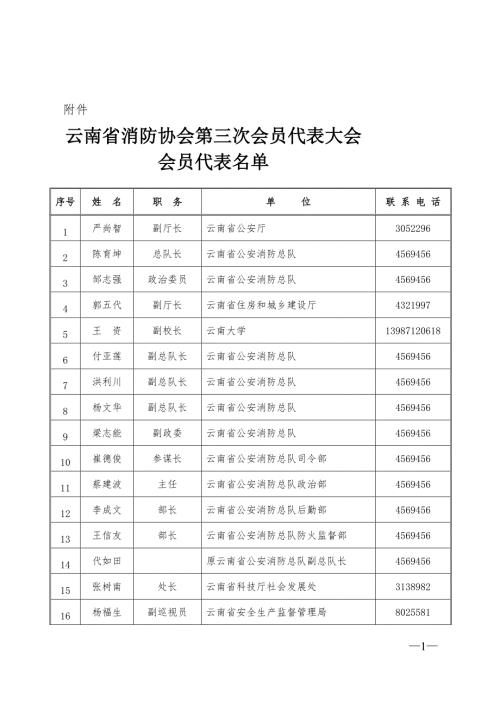 云南省消防协会第三次会员代表大会.doc
