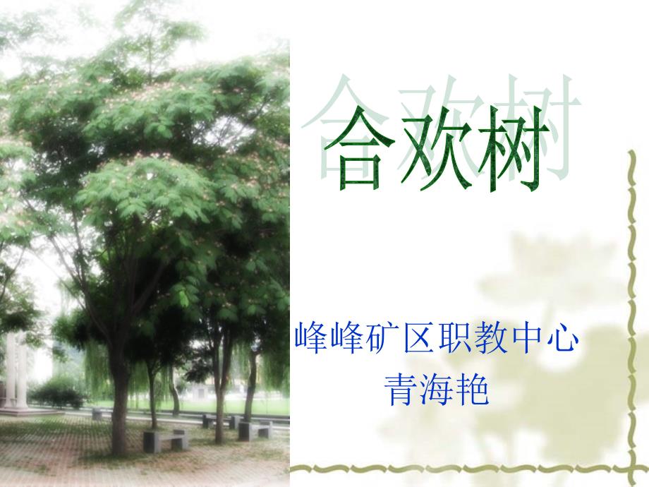 合欢树说课PPT课件.ppt_第1页