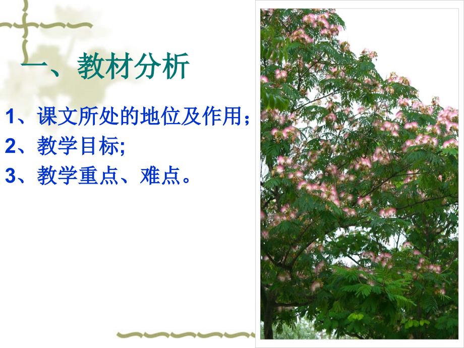 合欢树说课PPT课件.ppt_第3页