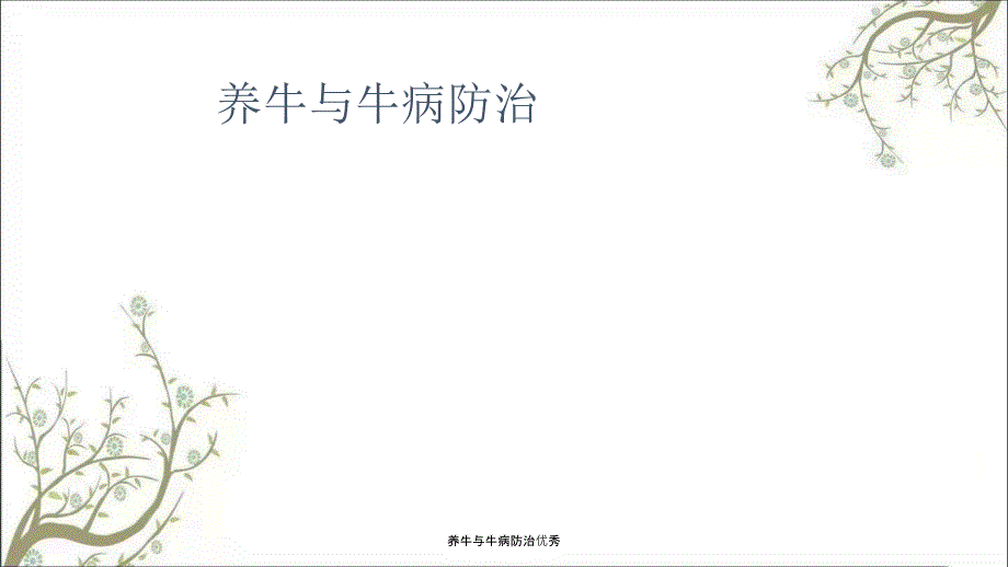 养牛与牛病防治优秀.ppt_第1页