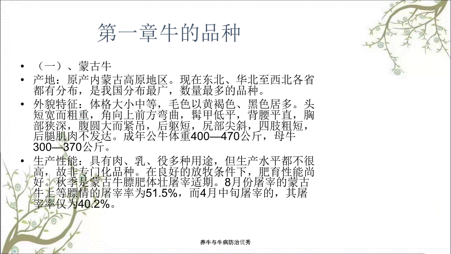 养牛与牛病防治优秀.ppt_第2页