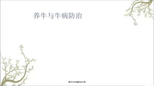 养牛与牛病防治优秀.ppt