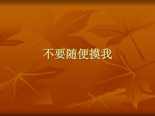 不要随便摸我PPT课件.ppt