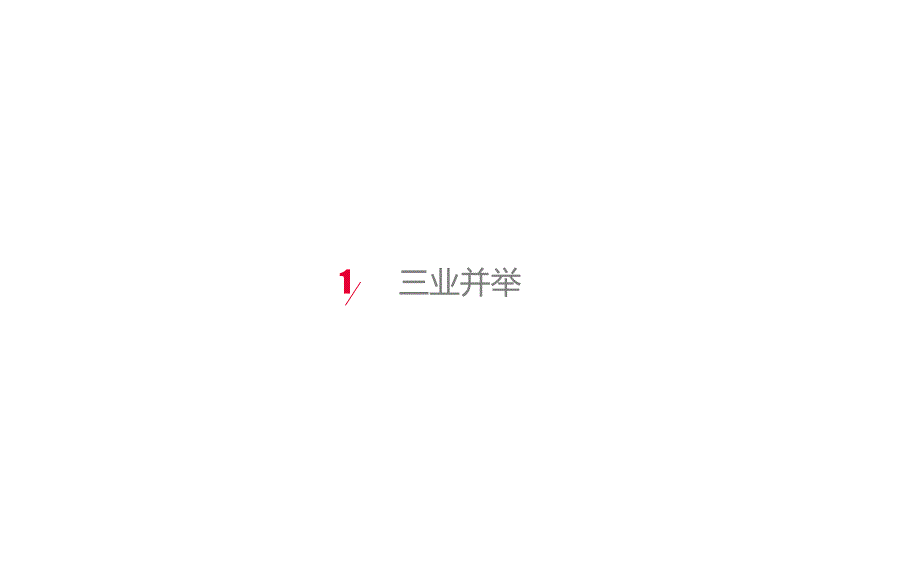 东坤创新科技产业园运营方案.ppt_第3页