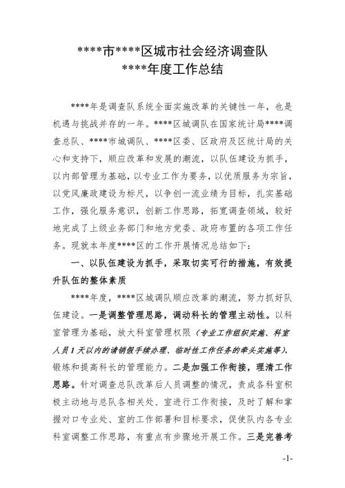 城市社会经济调查队工作总结.doc