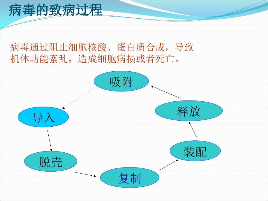 儿童用利巴韦林学PPT课件.ppt_第3页