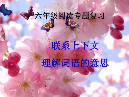 六年级复习专题1联系上下文准确理解词语意思.ppt