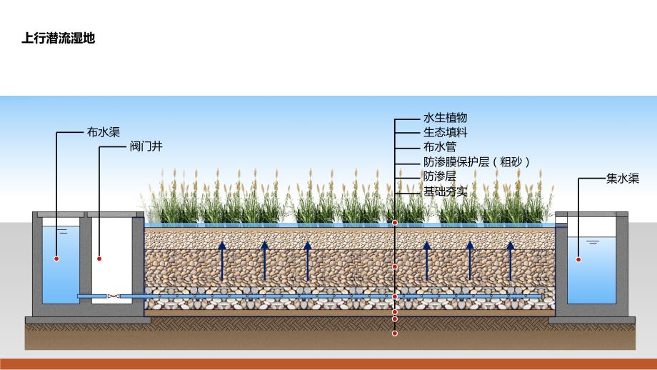 几种常用潜流人工湿地剖面图.ppt_第2页