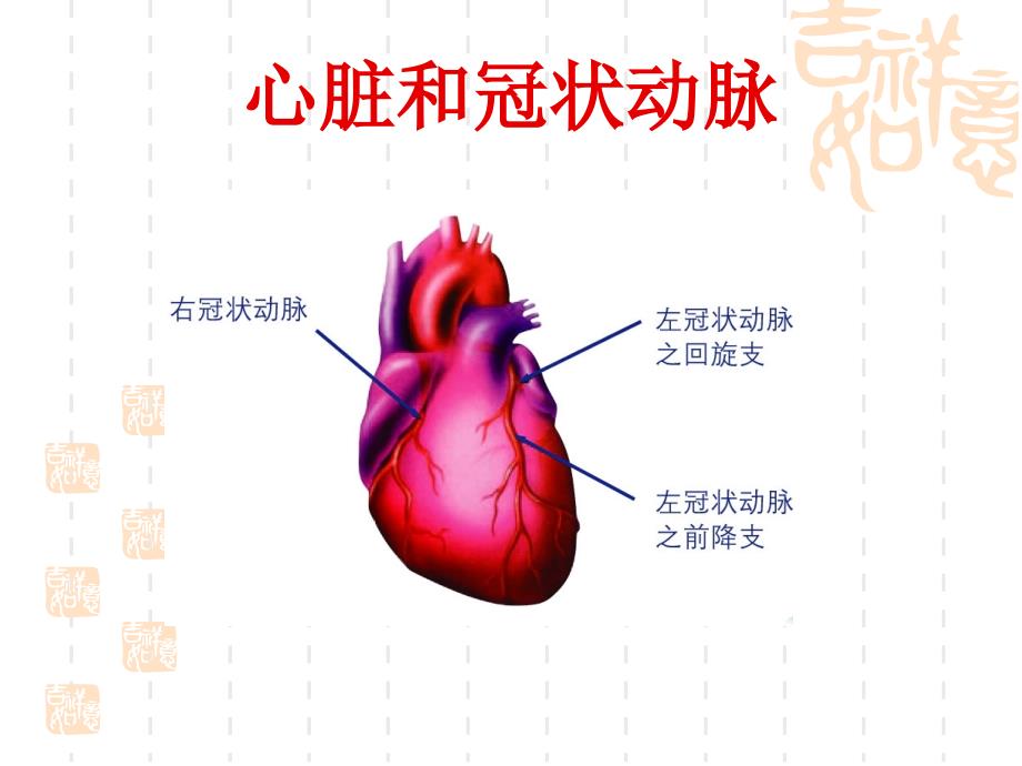 冠心病科普PPT课件.ppt_第2页