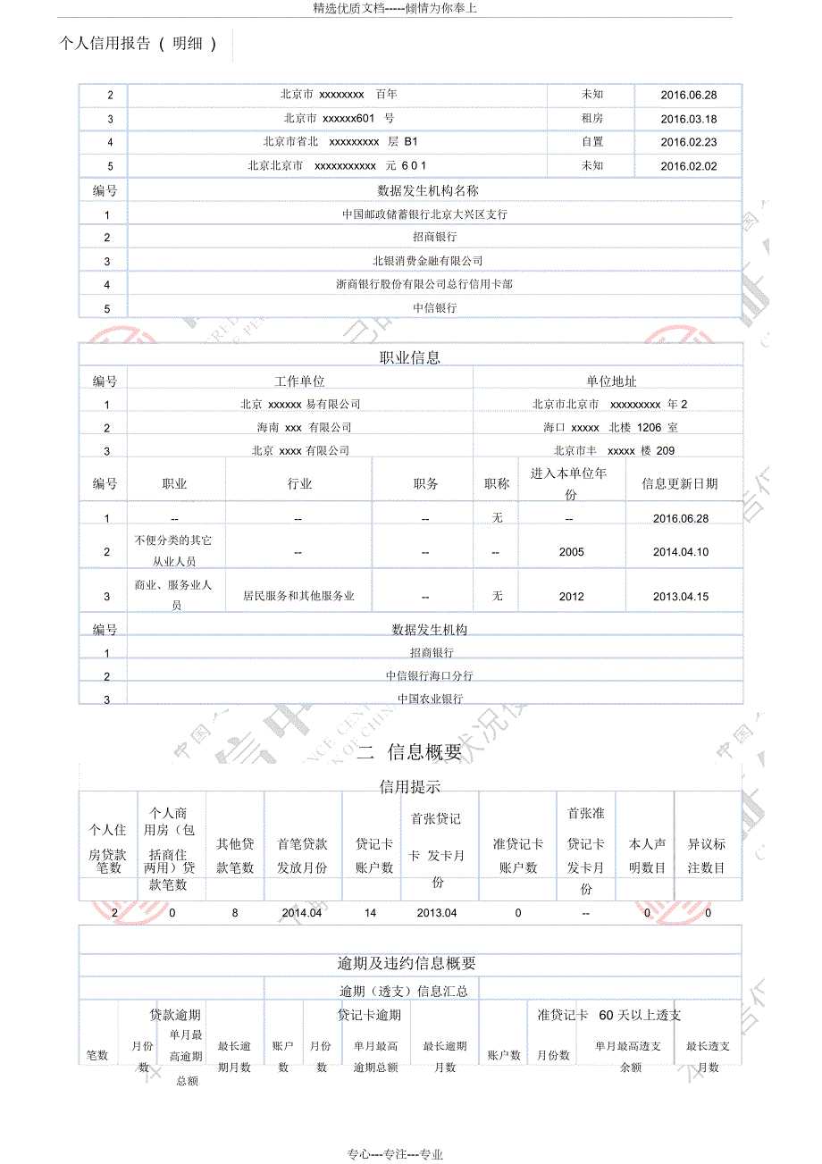 完整版个人征信报告共19页.doc_第3页