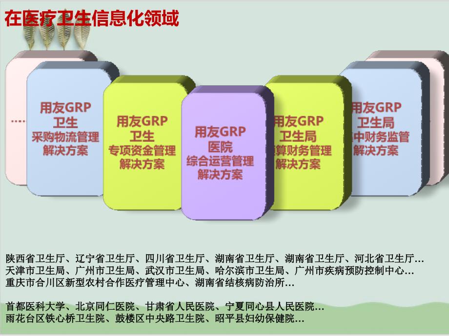 公立医院综合运营管理解决方案.ppt_第2页
