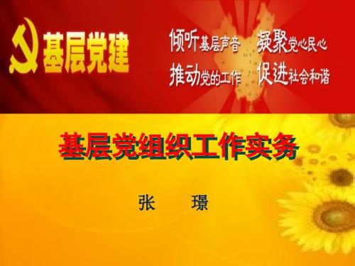 基层党建工作实务.ppt