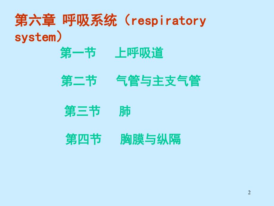人体解剖学呼吸系统ppt课件.ppt_第2页