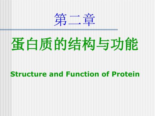 分子生物学蛋白质.ppt